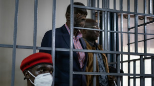 Activists blame Kenya for Ugandan opposition figure's plight