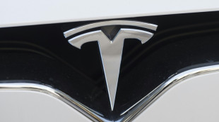 Besch&auml;ftigte von neuem Tesla-Werk in Brandenburg w&auml;hlen Betriebsrat