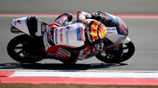 Martin wins Indonesia MotoGP sprint to take championship lead