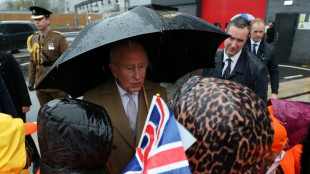 Rei Charles III celebra 77 anos decidido a continuar trabalhando, apesar de seu c&acirc;ncer