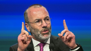 EVP-Chef Weber sieht in Nato-Beschl&uuml;ssen Handlungsauftrag f&uuml;r den EU-Gipfel