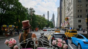 La menace plane à nouveau sur les calèches de Central Park