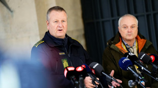 Vier Festnahmen bei Anti-Terror-Einsatz in D&auml;nemark und den Niederlanden
