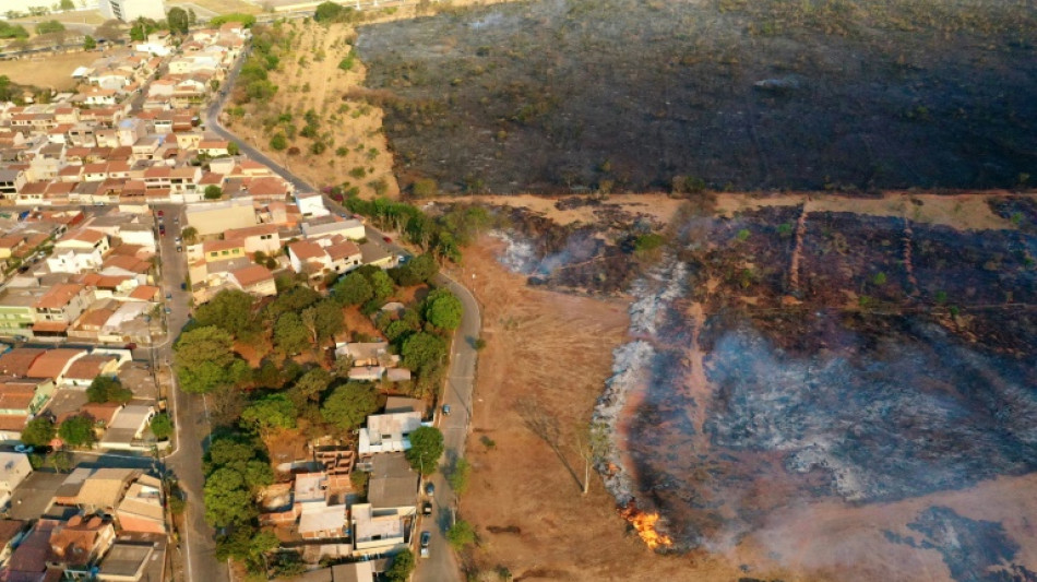 Au Br&eacute;sil, s&eacute;cheresse et incendies hors norme inqui&egrave;tent le secteur agricole