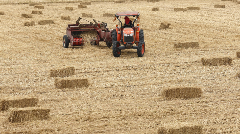 Lollobrigida 'mettiamo credito d'imposta su gasolio agricolo in Dl'