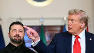 Trump, Zelensky et les Européens affichent leur volonté de travailler ensemble à la paix en Ukraine