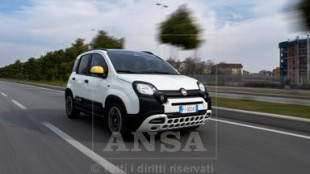 La Pandina la pi&ugrave; venduta in Italia, altri 4 modelli Stellantis nella 'top ten'