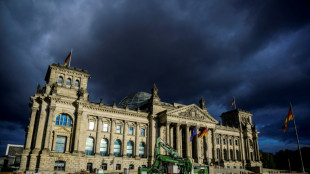 Bundestagsaussch&uuml;sse befassen sich mit Terror-Netzwerk