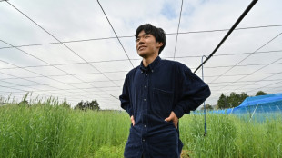 Con sus kiwis, un joven agricultor da nueva vida a la región de la catástrofe de Fukushima
