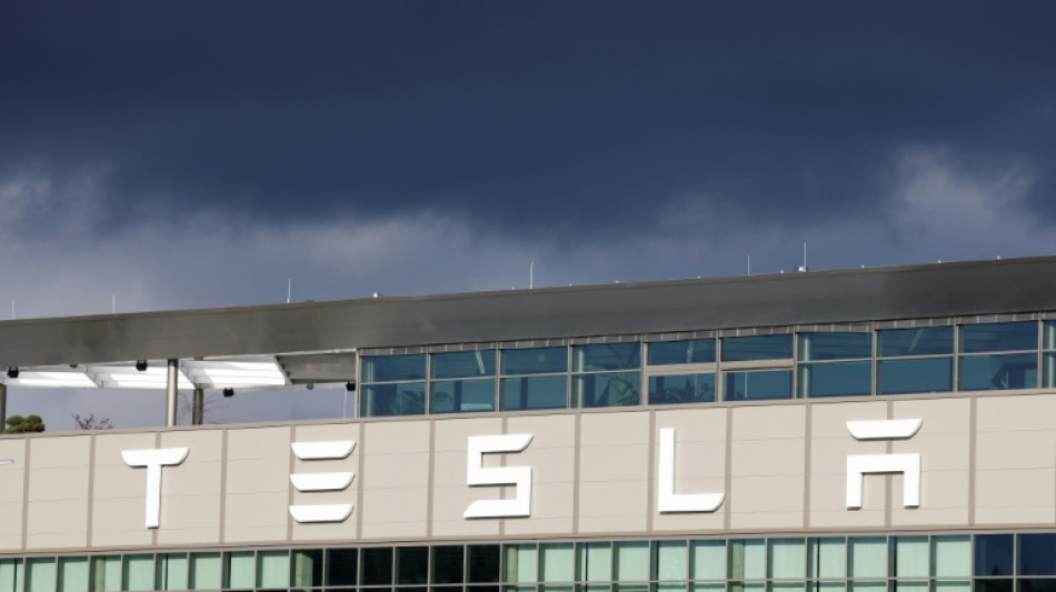Union loses fight against Tesla at German factory