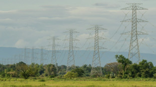Le Laos, "batterie" &agrave; plat de l'Asie du Sud-Est