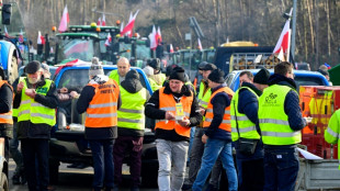 Polnische Bauern wollen Grenz&uuml;bergang bei Schwedt bis 20. M&auml;rz blockieren 