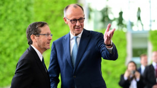 Merz empf&auml;ngt Israels Pr&auml;sident Herzog im Kanzleramt