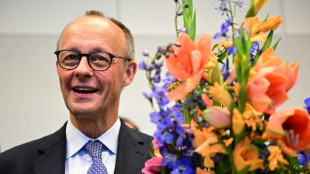 Geburtstagsempfang für Merz: Eine Strauß-Figur von Söder und Lob von Klingbeil