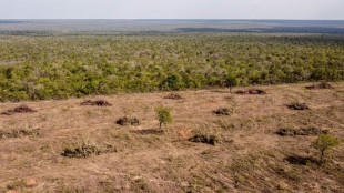 Recherche bringt H&M und Zara mit Menschenrechtsverst&ouml;&szlig;en in Brasilien in Verbindung