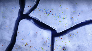 Sp&uuml;lschw&auml;mme sind schuld: Abwasch per Hand setzt tonnenweise Mikroplastik frei