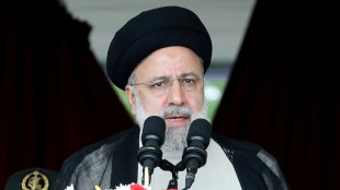 Tod des iranischen Pr&auml;sidenten: Hamas und Hisbollah bezeichnen Raisi als "Unterst&uuml;tzer des Widerstands"