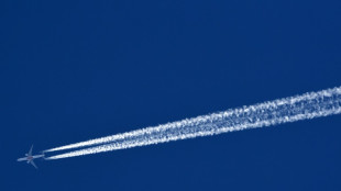 H&ouml;here Steuern auf Business-Class-Fl&uuml;ge k&ouml;nnten E-Kerosin mitfinanzieren