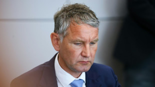 Staatsanwaltschaft fordert Bew&auml;hrungsstrafe f&uuml;r AfD-Politiker H&ouml;cke wegen NS-Parole