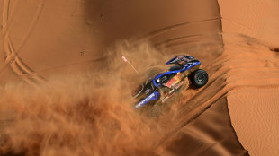 Dakar-2026 auto: tripl&eacute; Ford lors de la 11e &eacute;tape, Loeb monte sur le podium du g&eacute;n&eacute;ral