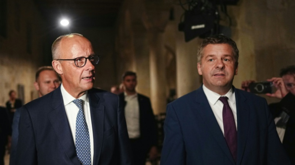Merz warnt vor AfD-Sieg in Sachsen-Anhalt: "kein Experimentierfeld f&uuml;r Wutb&uuml;rger"