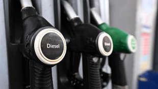 Unem, consumi petroliferi in calo ad aprile per petrolchimica, benzina sale