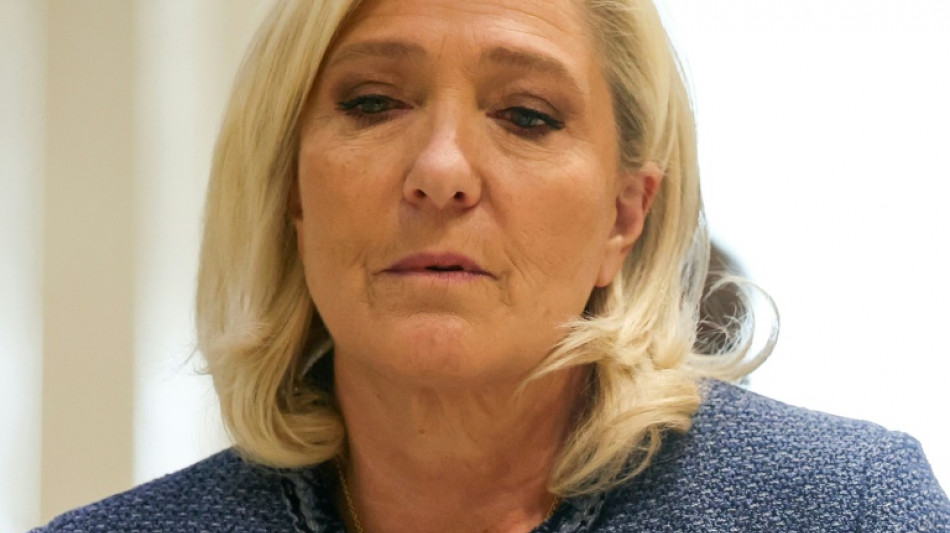 Fall Le Pen: Entscheidung über Berufung soll deutlich vor Präsidentenwahl fallen