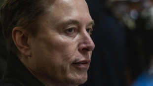 Musk esulta per la nuova citt&agrave; di Starbase, 'nata con una vanga'