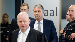 Zweiter Prozess um Verwendung von NS-Parole gegen AfD-Politiker H&ouml;cke im Juni