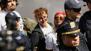 L'actrice Susan Sarandon interpell&eacute;e lors d'une manifestation contre Netanyahu &agrave; New York