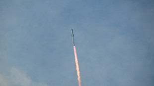 SpaceX salue "un jour incroyable" malgr&eacute; la perte de son vaisseau Starship en toute fin de vol test