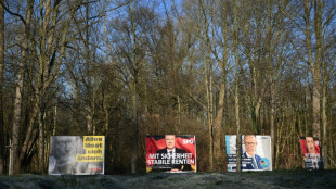 Wahl-O-Mat f&uuml;r Bundestagswahl gestartet