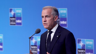 Wsj: 'Carney muove per rendere il Canada membro associato dell'Ue'