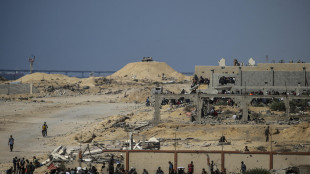 Il Cairo, 'Israele è responsabile della fame a Gaza'