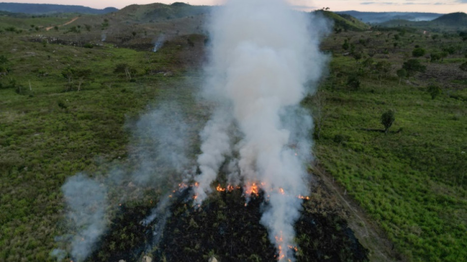 Panamá pedirá que la COP30 adopte acuerdos por mayoría