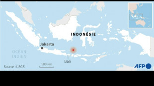 Indon&eacute;sie: un s&eacute;isme de magnitude 7,1 &eacute;branle Bali sans d&eacute;g&acirc;ts importants 