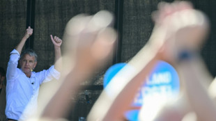 AfD in Th&uuml;ringen: Wahlparty nach Gerichtsentscheid nun g&auml;nzlich ohne Presse