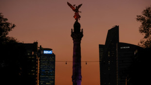 Apr&egrave;s la trag&eacute;die de Mexico, la pression monte pour r&eacute;guler les sites de location