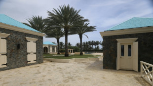 Dem&oacute;cratas publican im&aacute;genes de la isla privada de Epstein en el Caribe