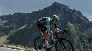 Tour de France: Seixas &agrave; la hauteur de son r&ecirc;ve de podium