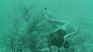 Festival Cinemabiente dal 5 giugno con Wonders of the sea