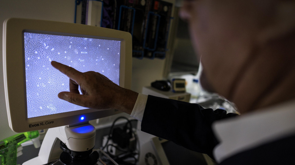 Le proteine guardiane dell'udito responsabili di alcune forme di sordit&agrave;