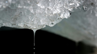 Studie: Schweizer Gletscher binnen zehn Jahren um ein Viertel geschrumpft