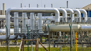 Il prezzo del gas chiude in lieve rialzo a 35,23 euro