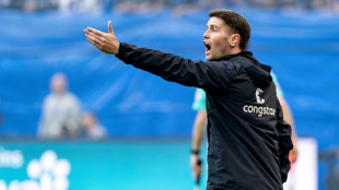 New Brighton boss Hurzeler eager to 'challenge the establishment'