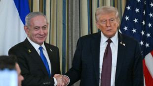 Israel unterstützt Trump-Friedensplan für Gaza - Netanjahu droht der Hamas