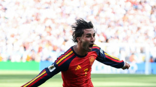 World Cup final scorer Torres leads Ballon d'Or nominees