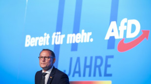 Staatsanwaltschaft sieht keine Anzeichen f&uuml;r Angriff auf AfD-Chef Chrupalla
