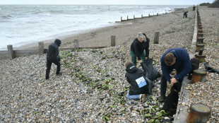 Una ola llena de plátanos llega a las costas inglesas 