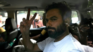 Libertado o l&iacute;der do movimento das 'baratas' da &Iacute;ndia